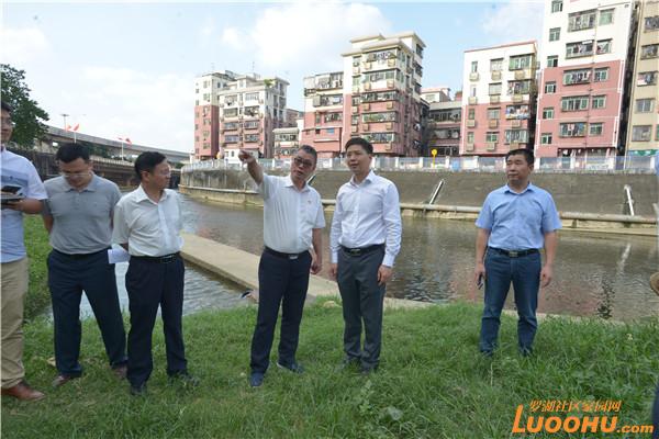 罗湖区区长刘智勇现场调研治水提质工作