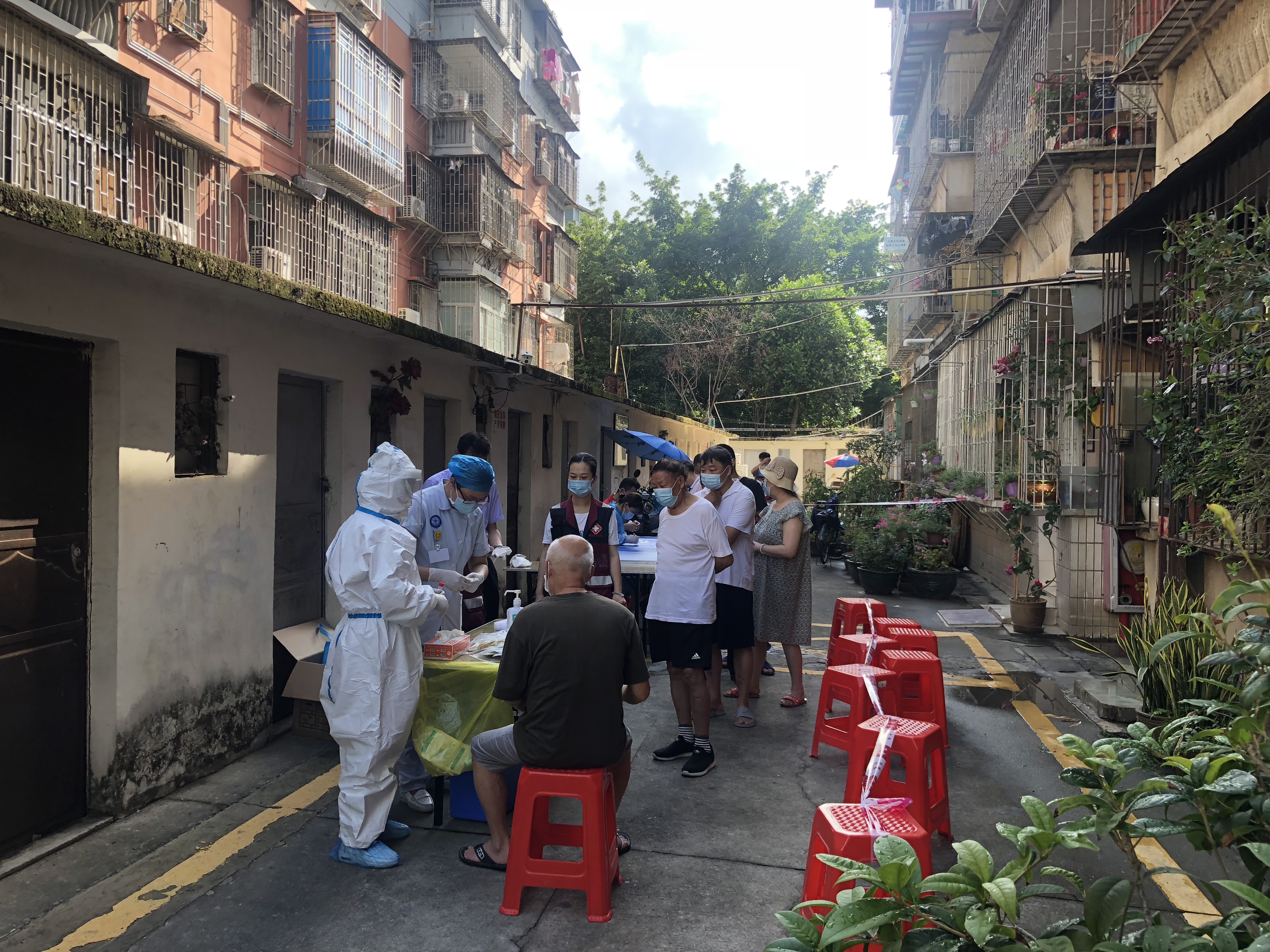 我们一起苗苗苗